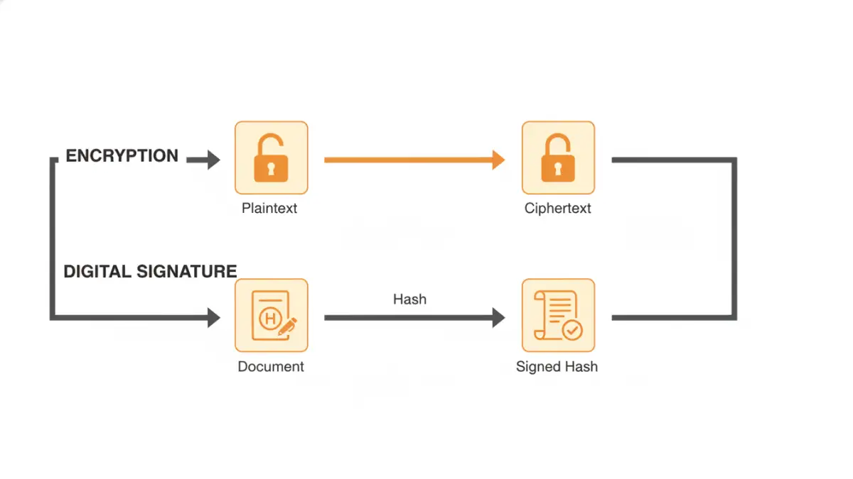 digital signatures vs encryption - Infographic explaining the technical process of encryption versus creating a digital signature.